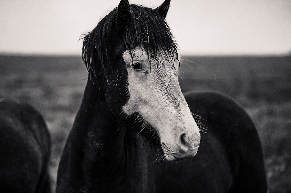 Rainy Iceland