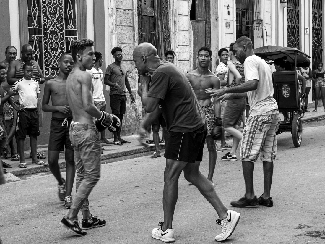 Boxing in Cuba, A Way of Life