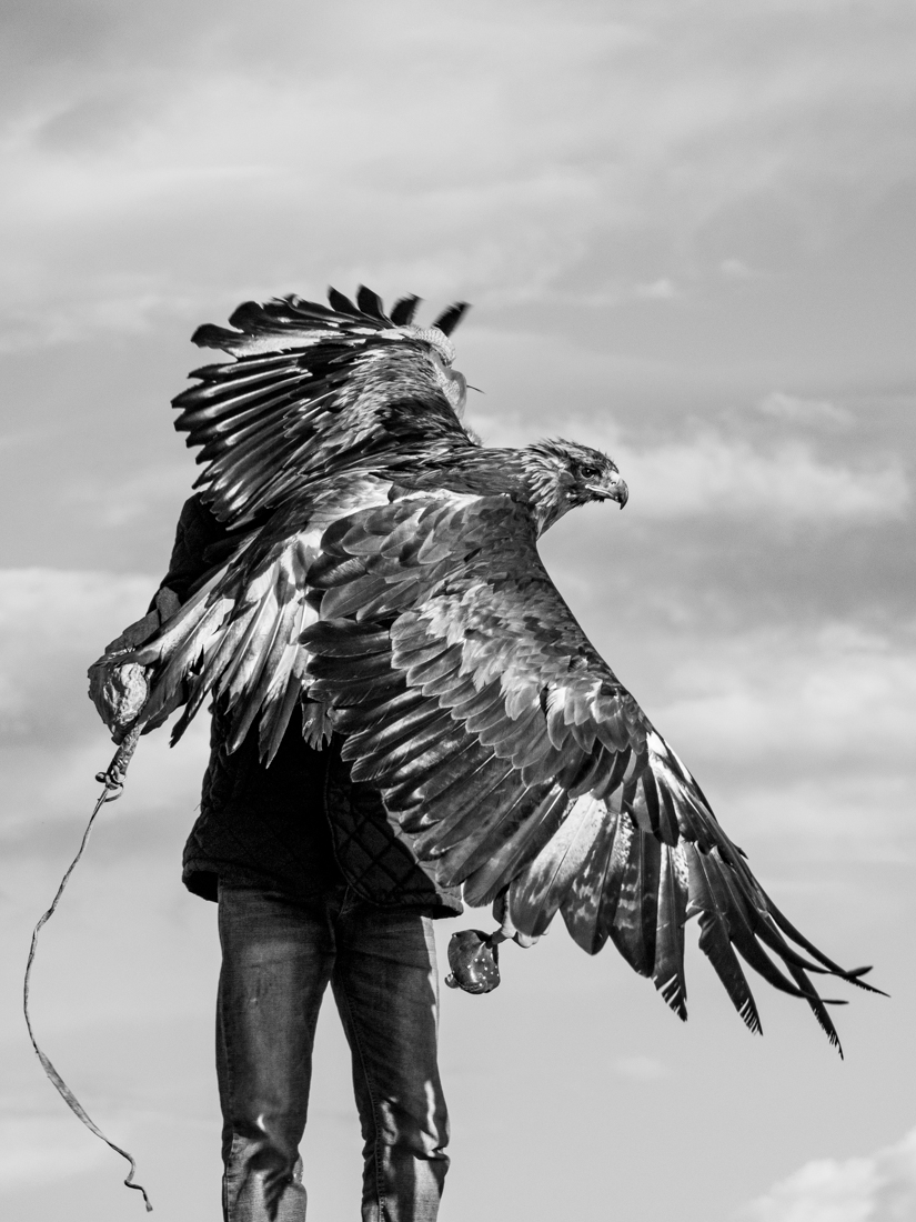 Life on the Mongolian Steppe