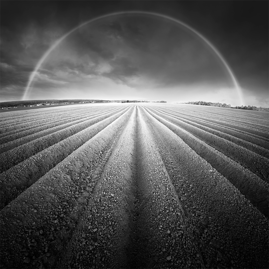 Fields under the sky