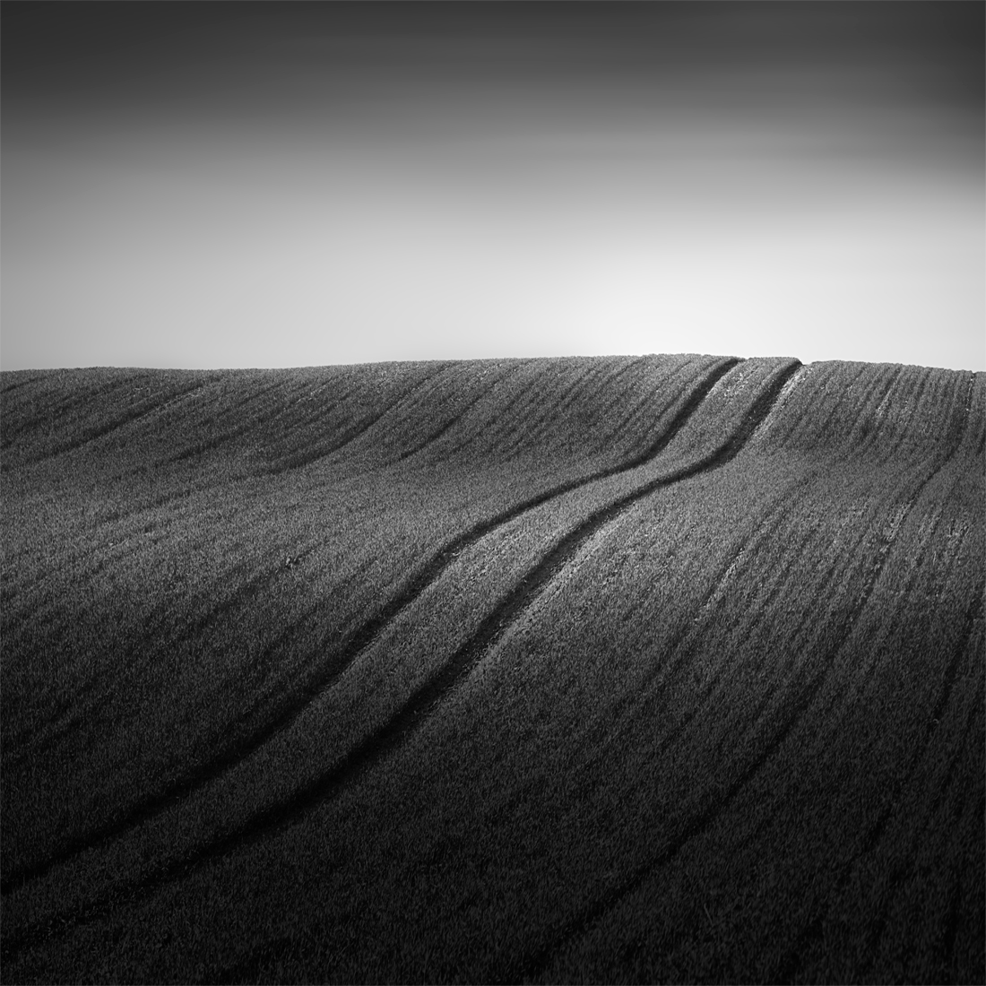 Fields under the sky