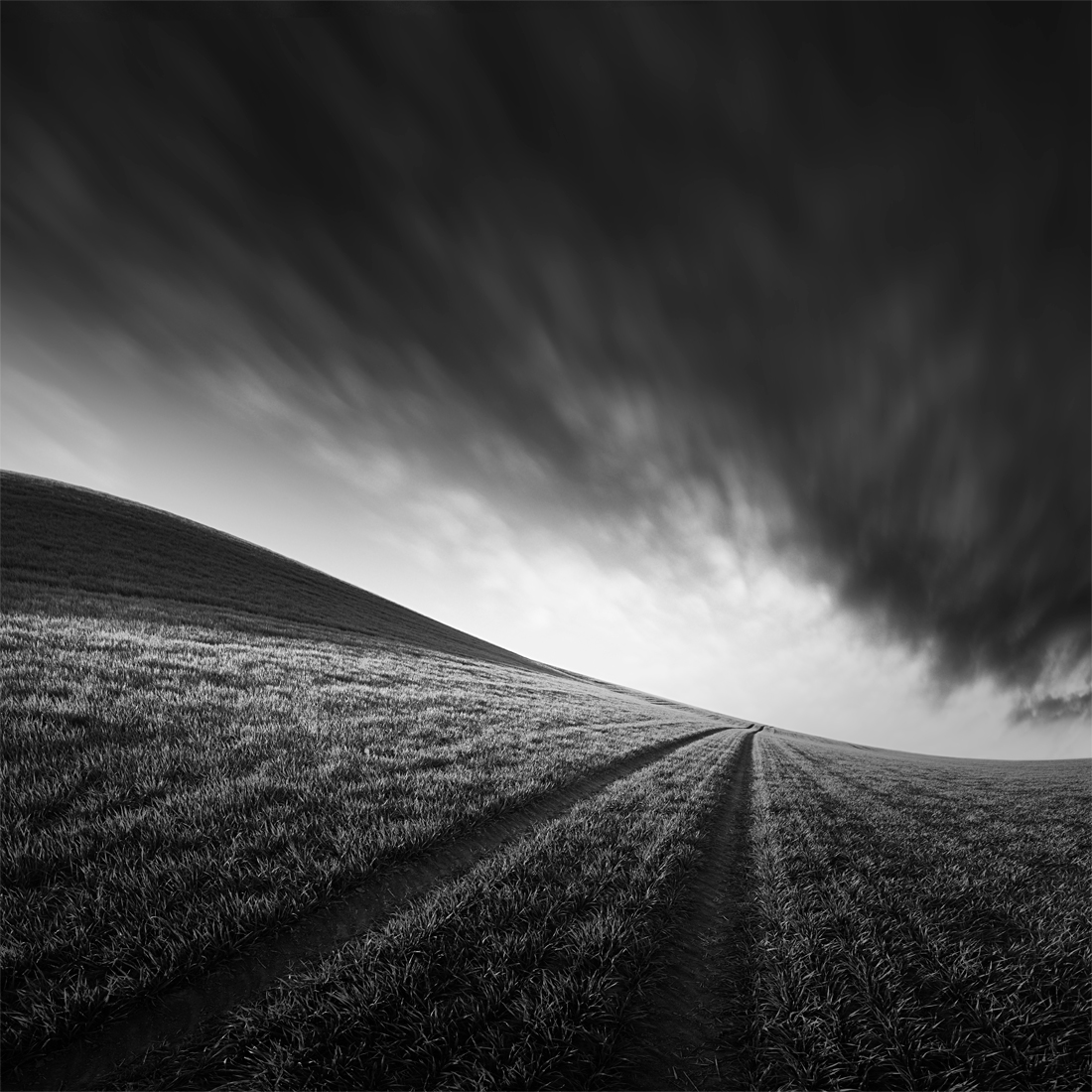 Fields under the sky