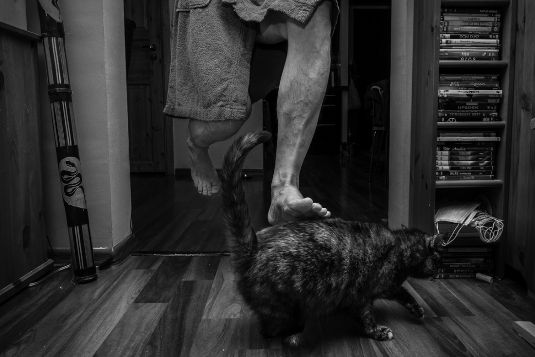 During the pandemic I live at my cats' place