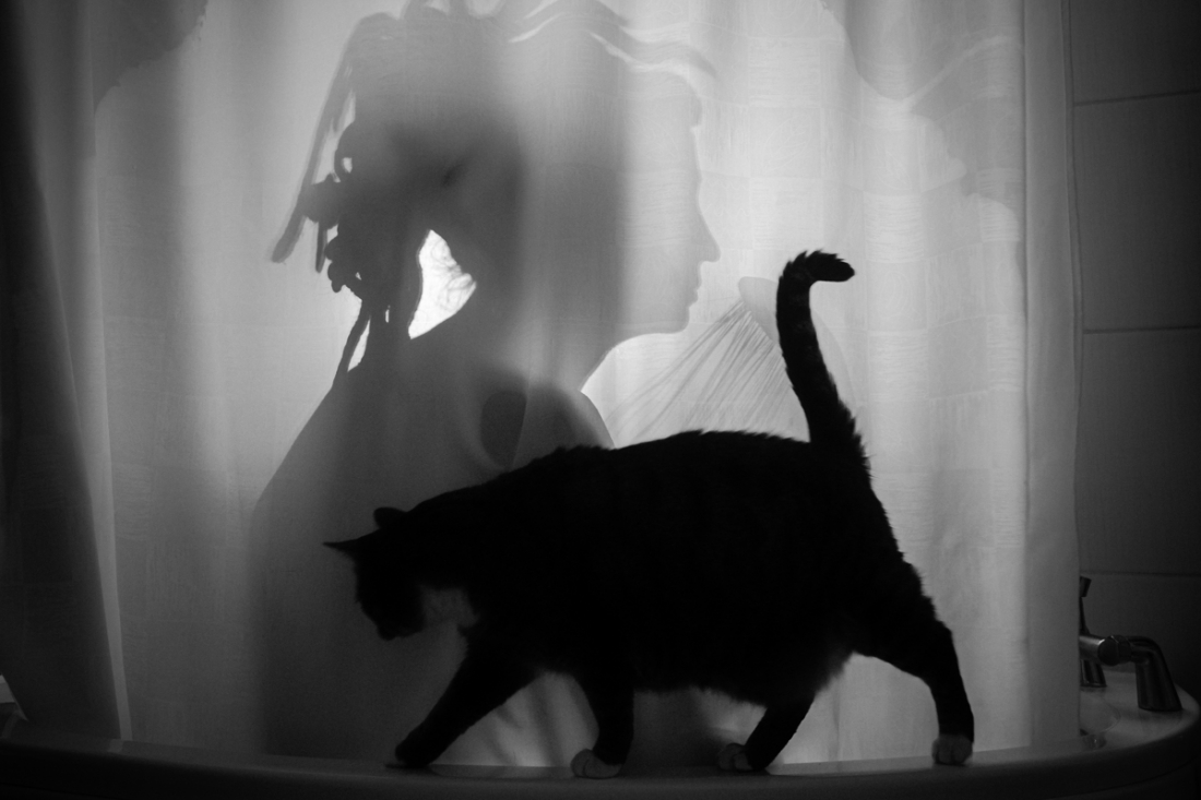 During the pandemic I live at my cats' place