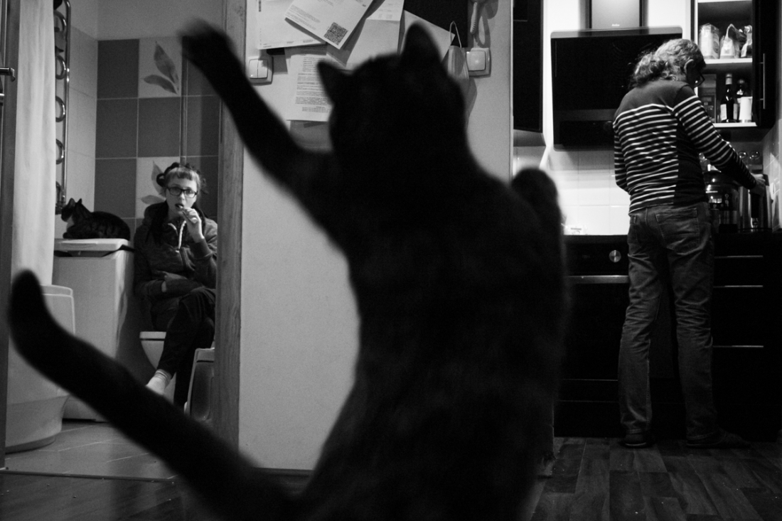 During the pandemic I live at my cats' place
