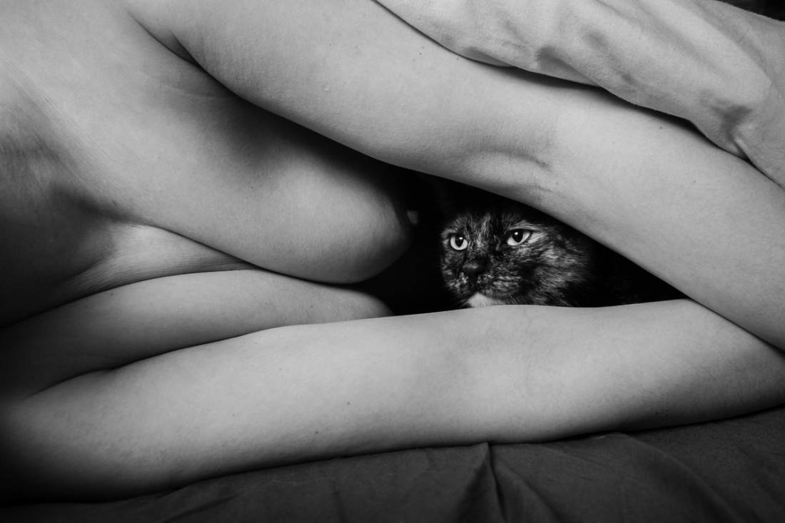During the pandemic I live at my cats' place