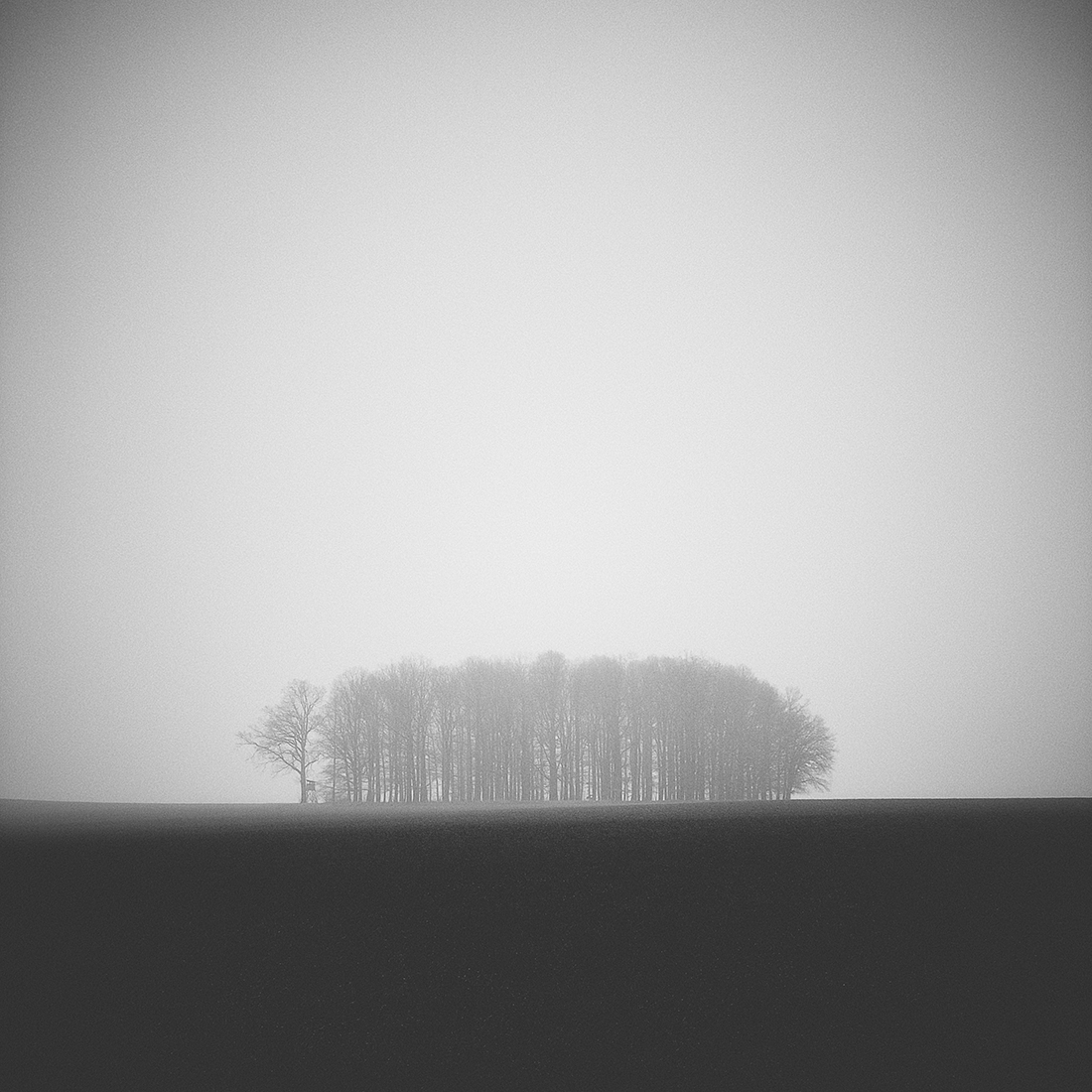 Greyscapes