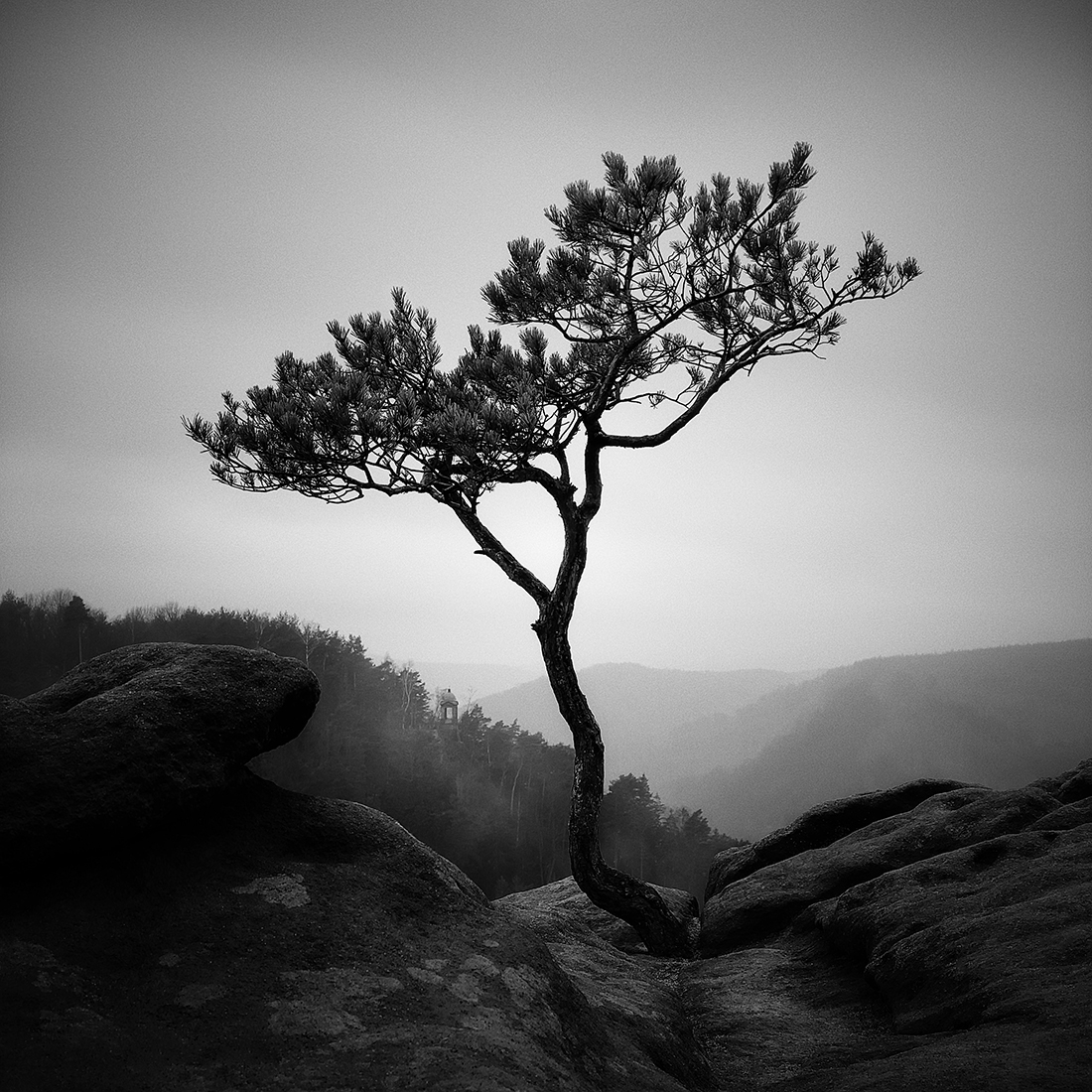 Greyscapes