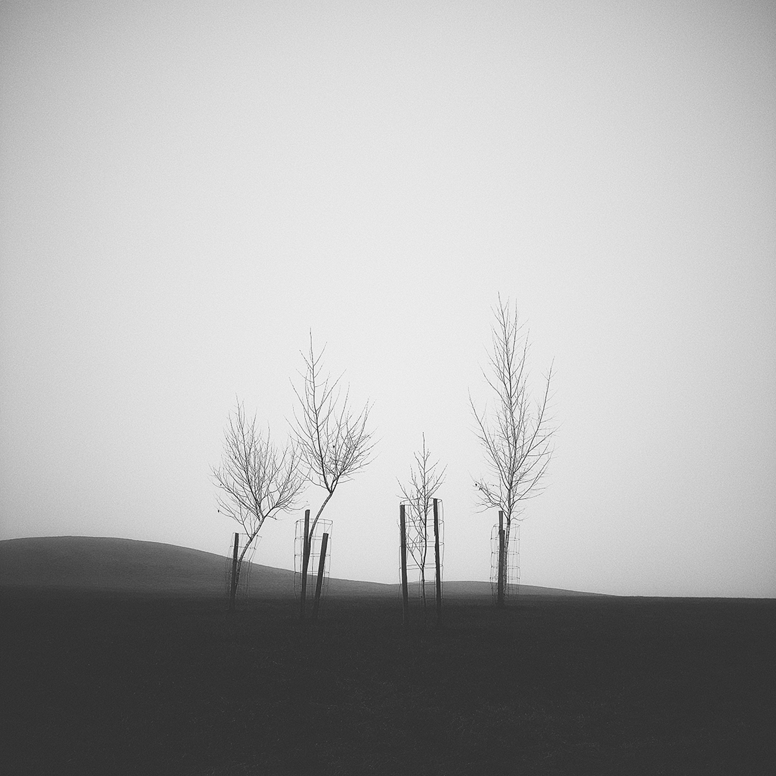 Greyscapes