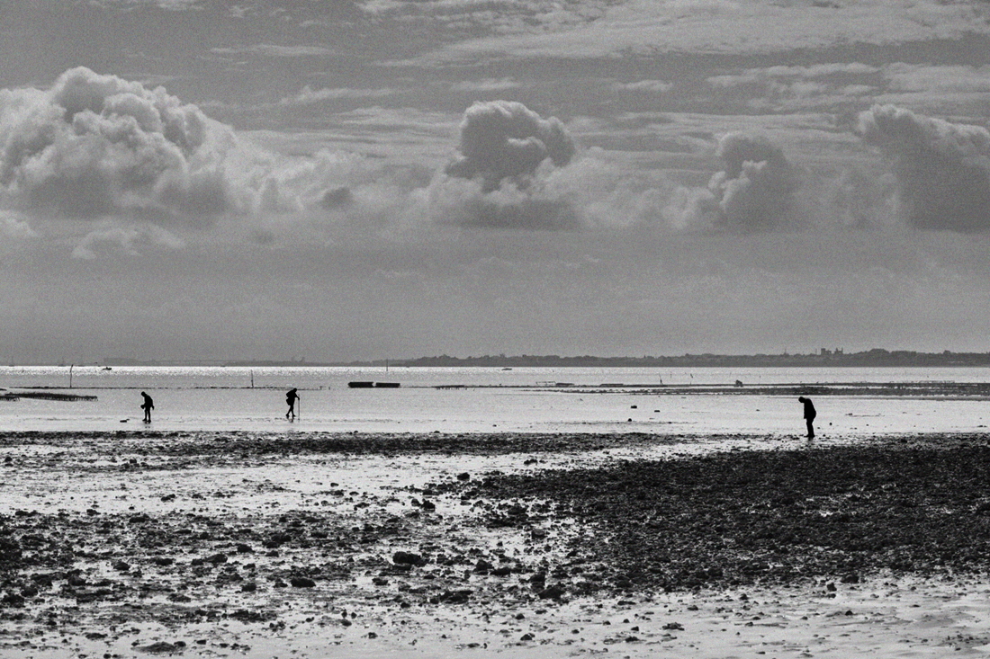 Bords de mer - Paysages