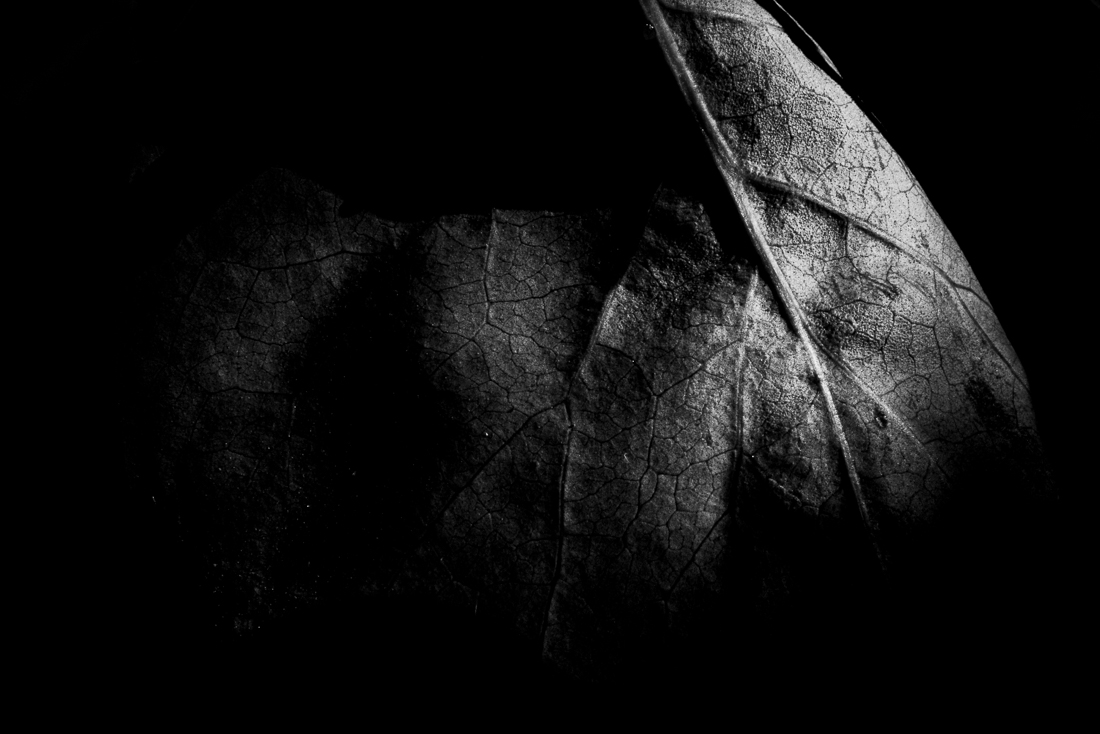 Scars