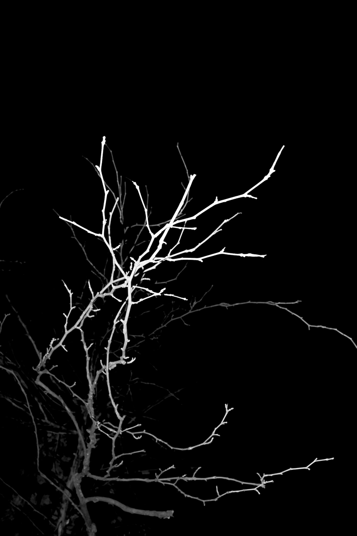 Scars