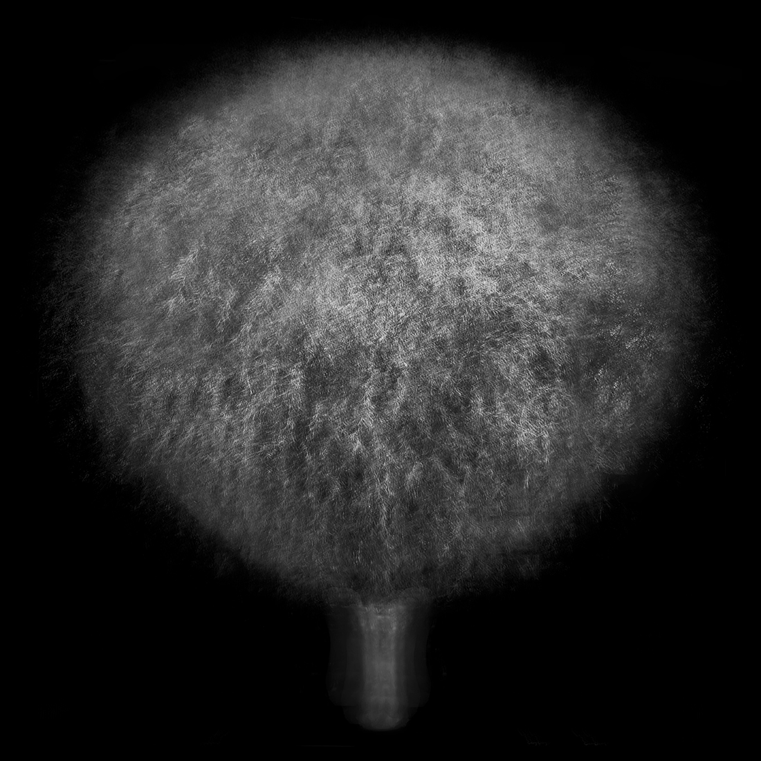 Multi-angled, Multi-opacity, 360-degree Tree
