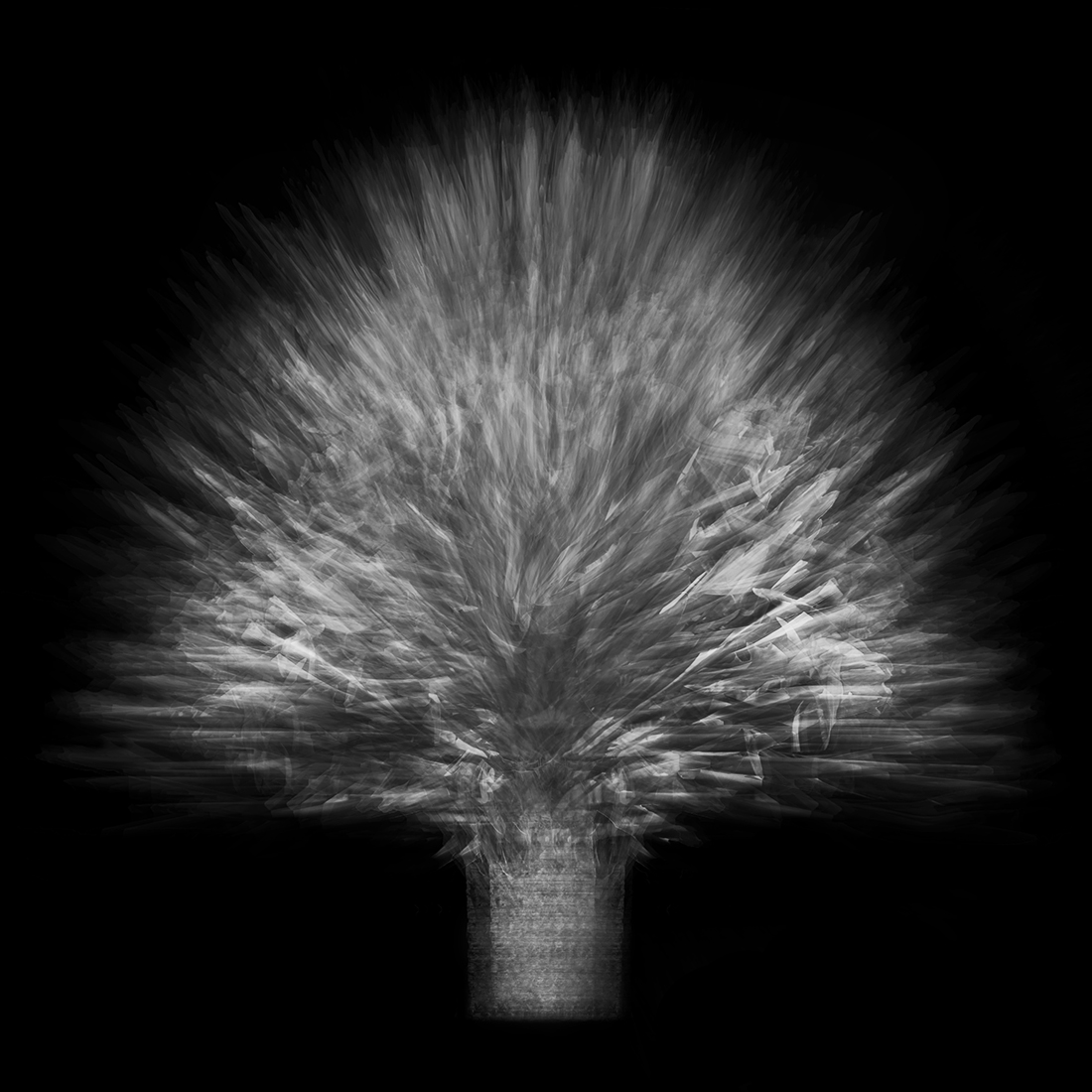 Multi-angled, Multi-opacity, 360-degree Tree