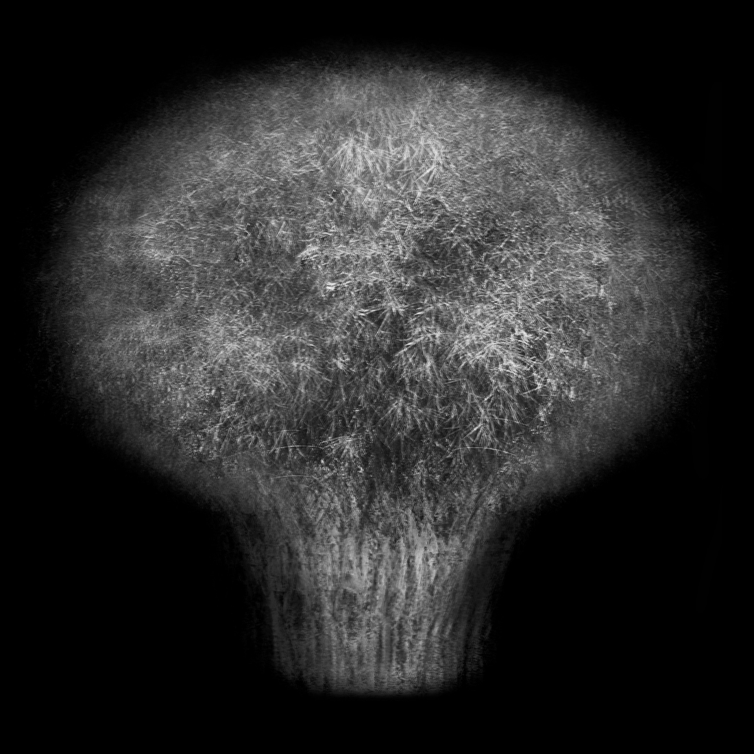 Multi-angled, Multi-opacity, 360-degree Tree