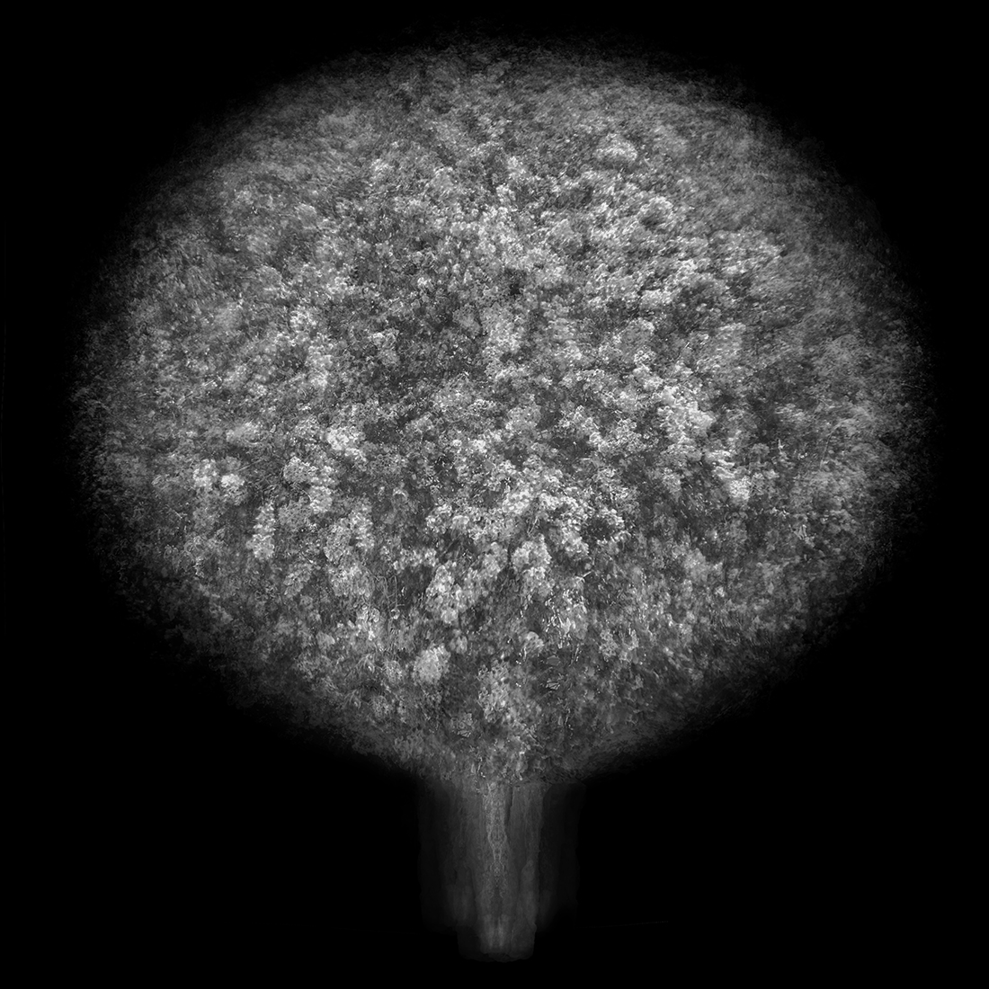 Multi-angled, Multi-opacity, 360-degree Tree