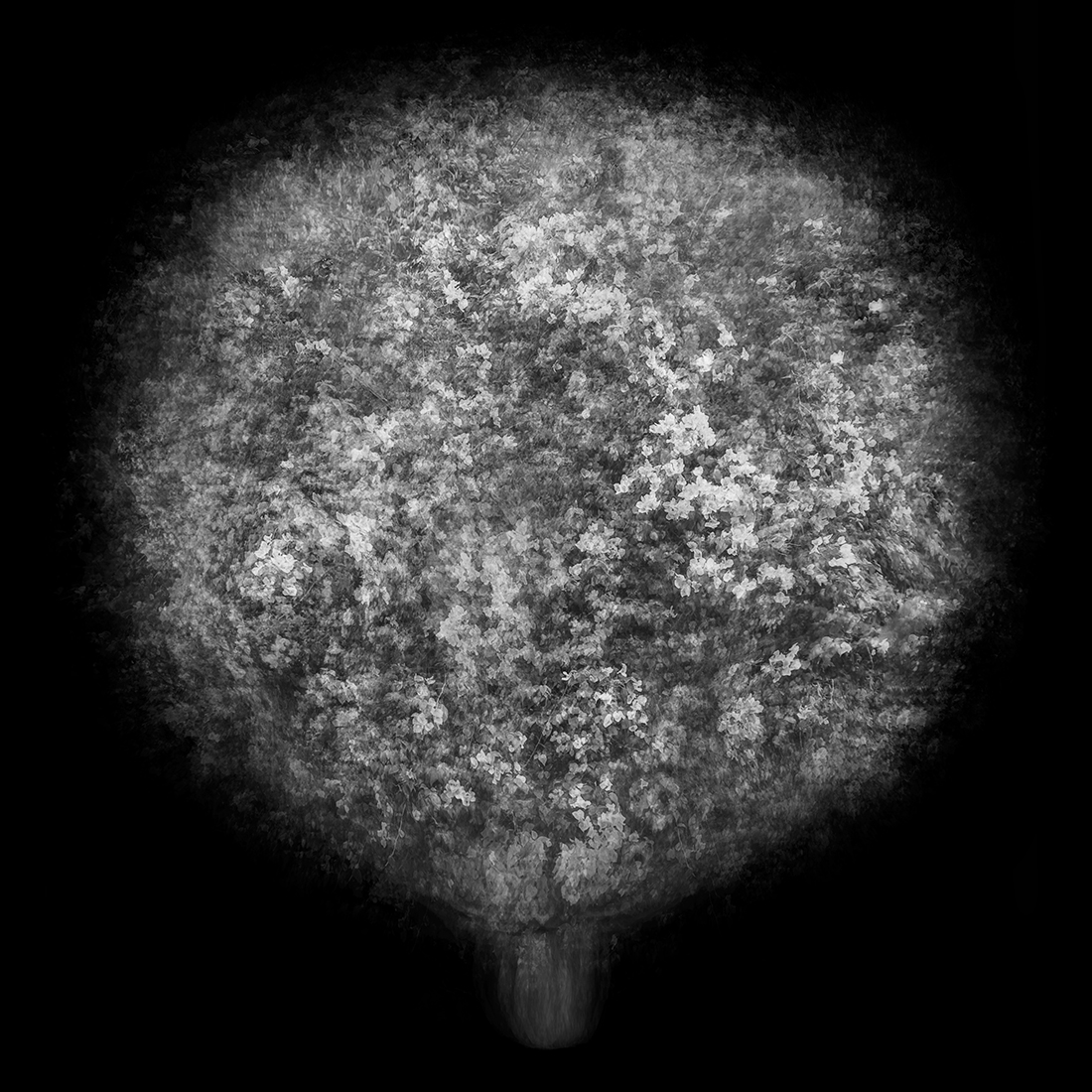 Multi-angled, Multi-opacity, 360-degree Tree