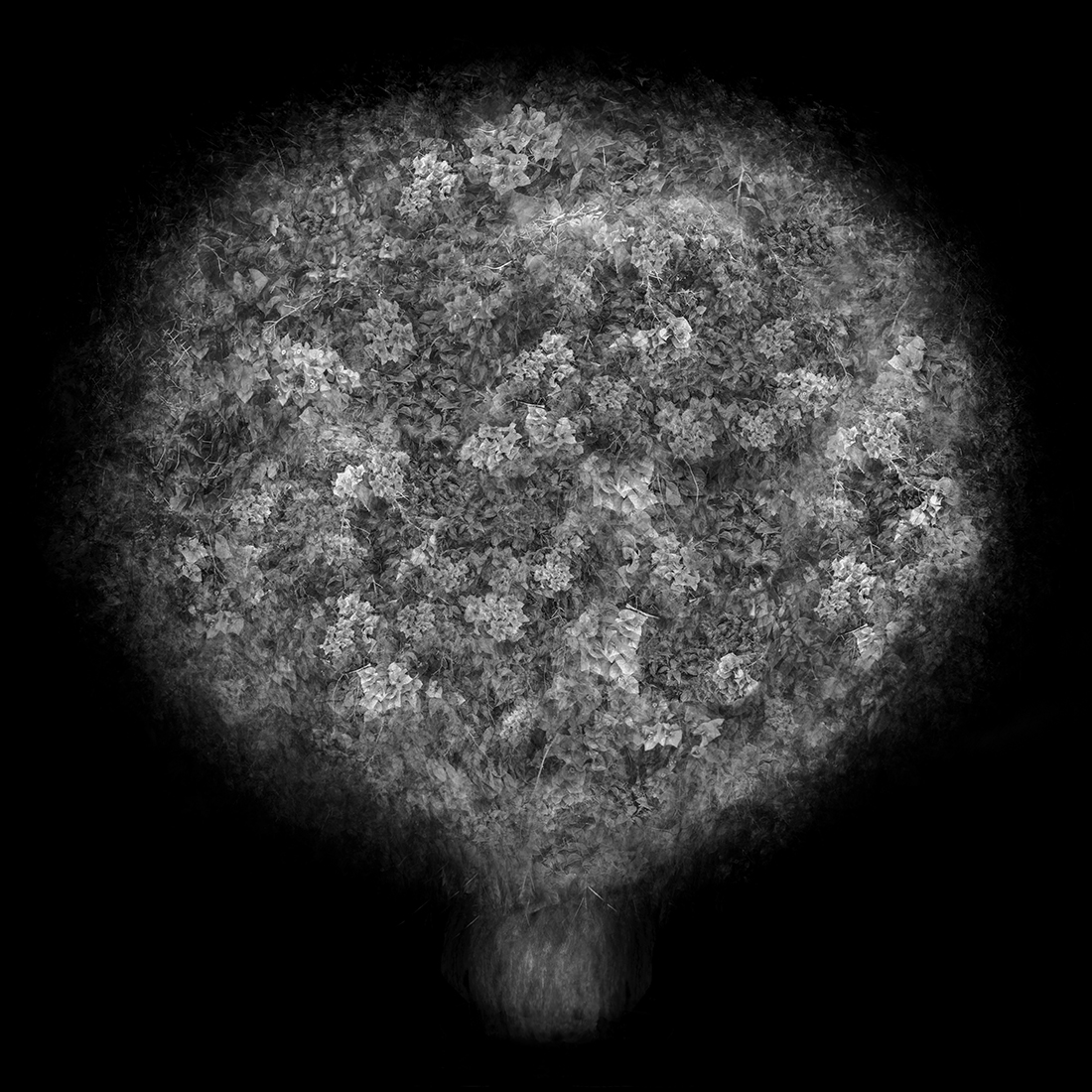 Multi-angled, Multi-opacity, 360-degree Tree