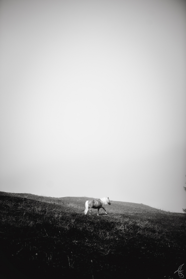 Ghost of the Mountain