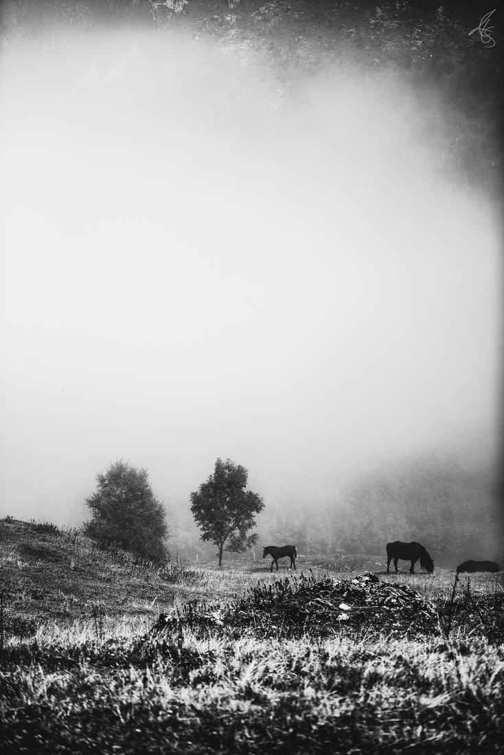 Ghost of the Mountain