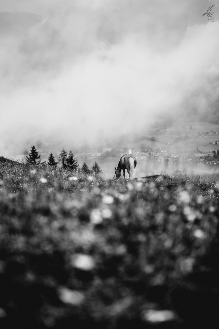 Ghost of the Mountain