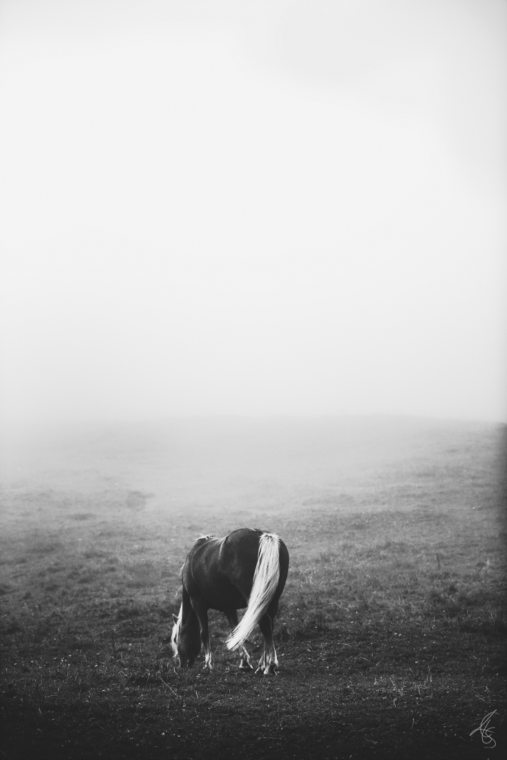 Ghost of the Mountain