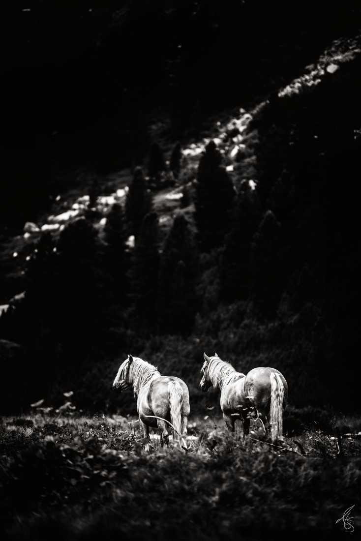 Ghost of the Mountain
