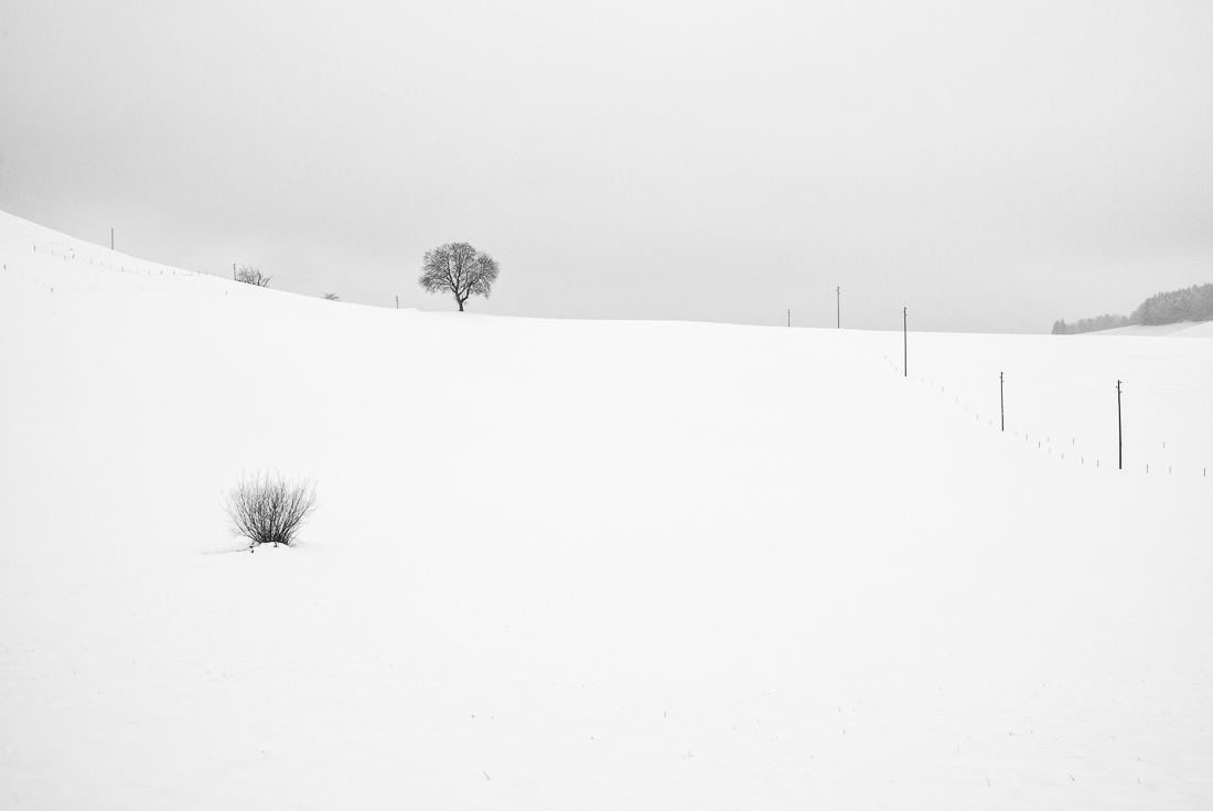 The aesthetics of the lonely 