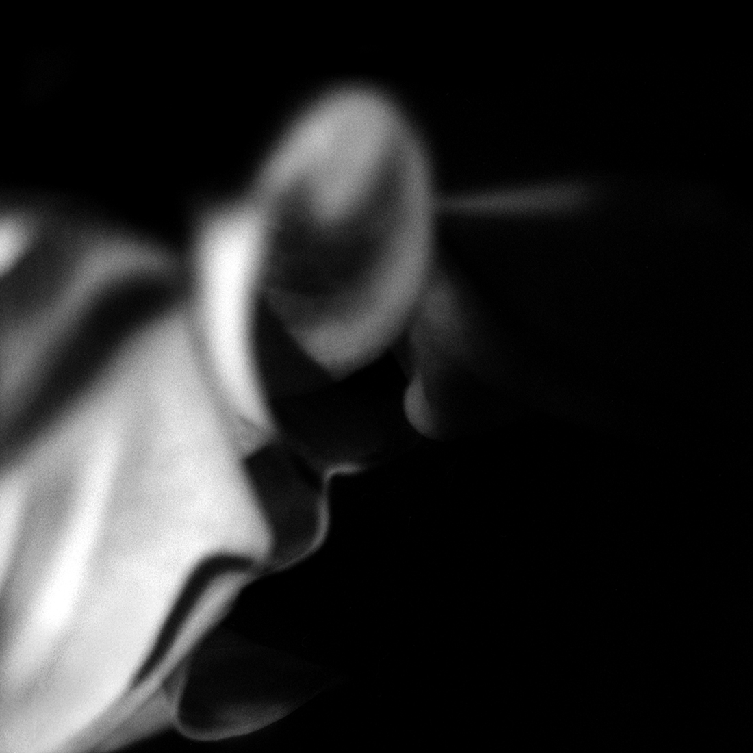 Spaces in between 