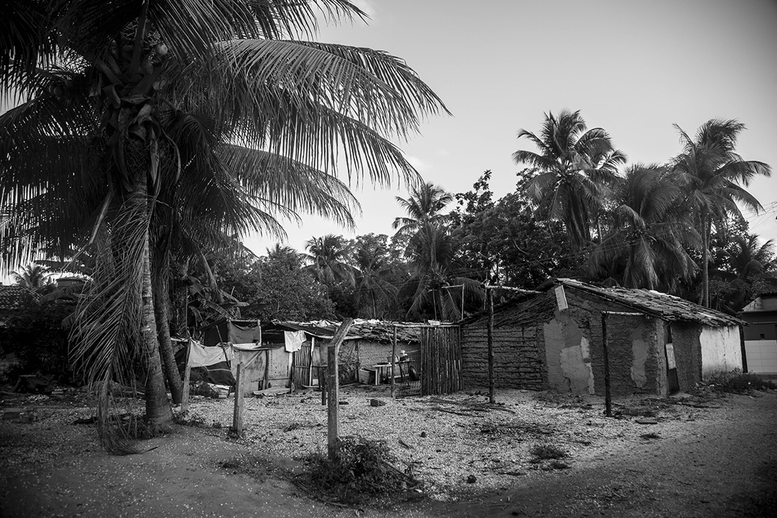 Palateia Comunidade