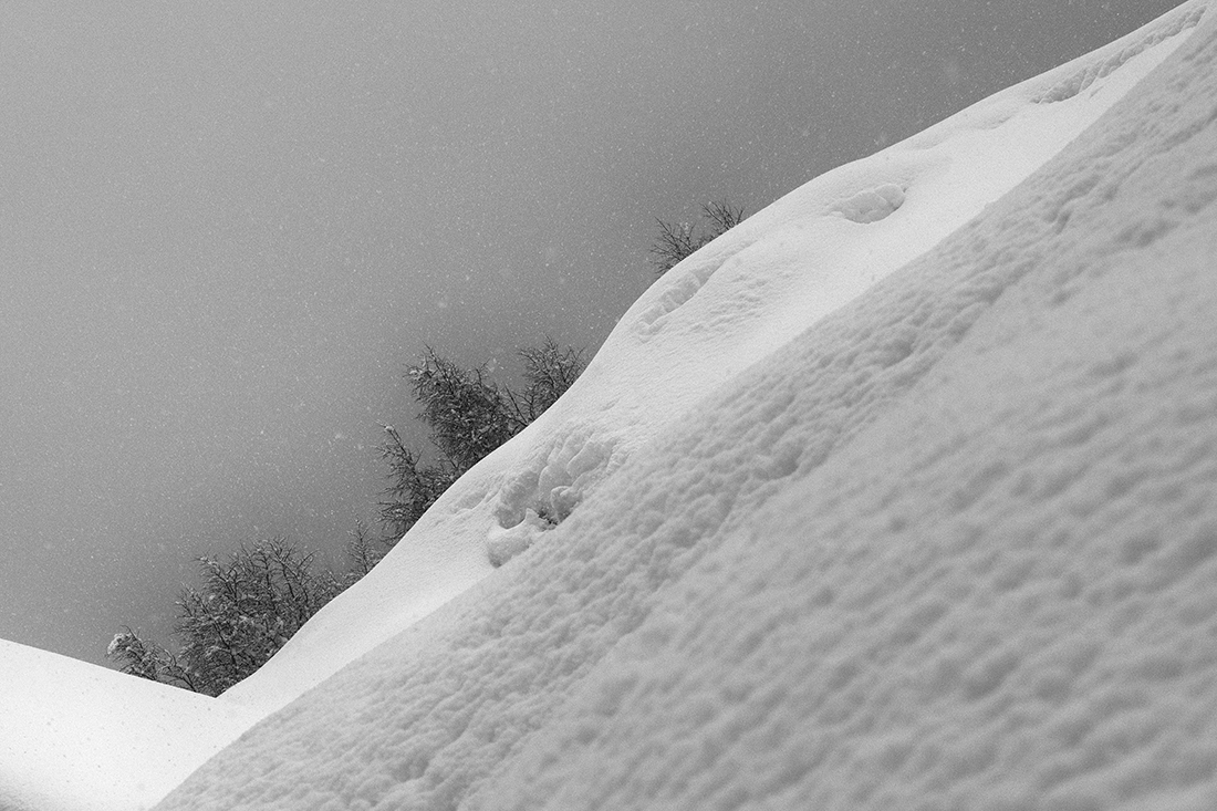 Sneachta, Schnee, Snow . . .