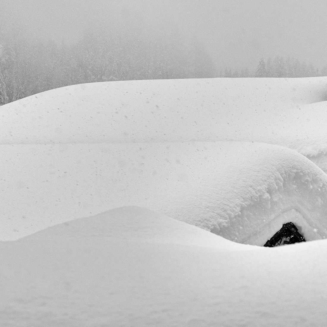 Sneachta, Schnee, Snow . . .