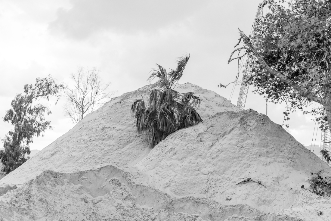 Emotional Landscapes