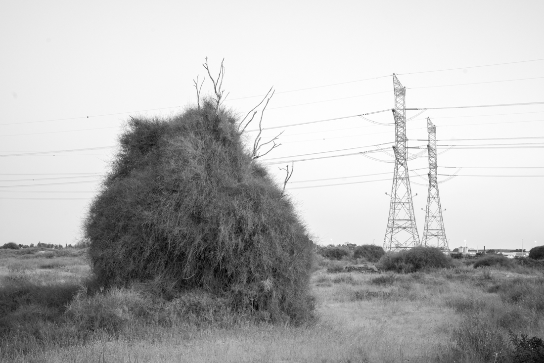Emotional Landscapes