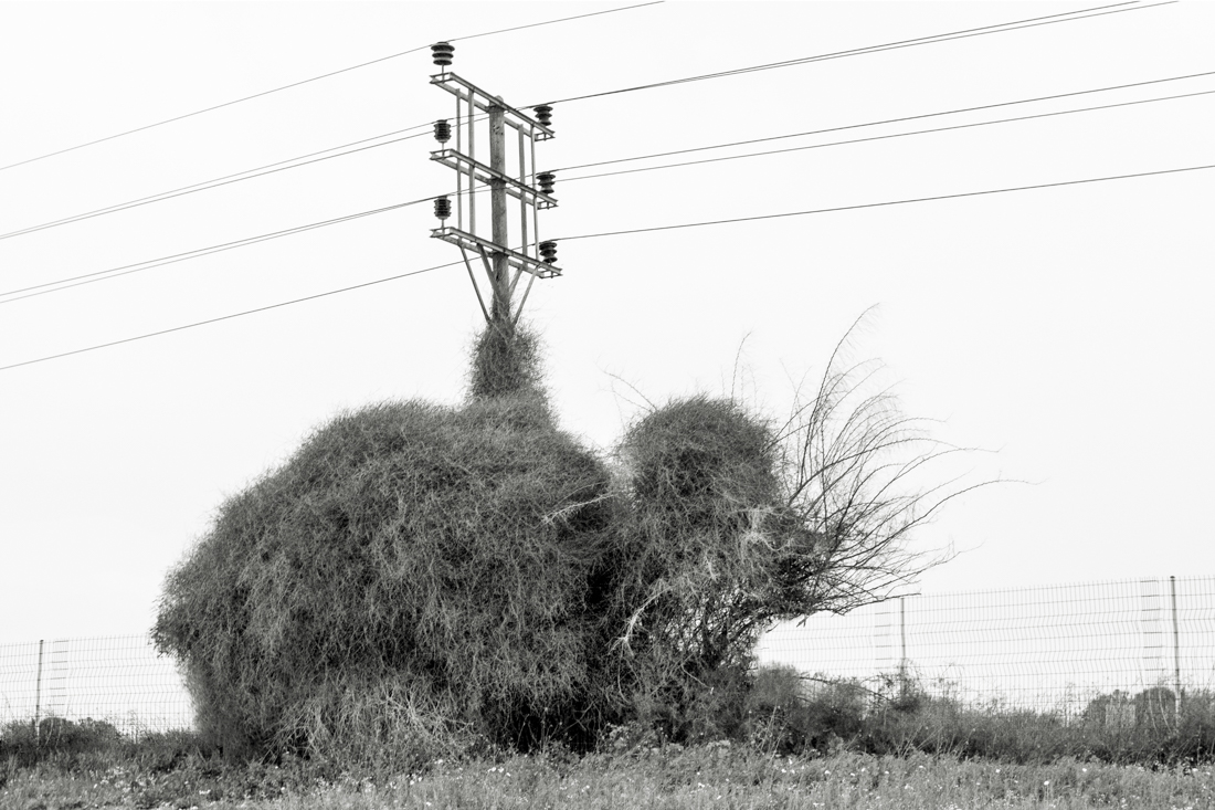 Emotional Landscapes