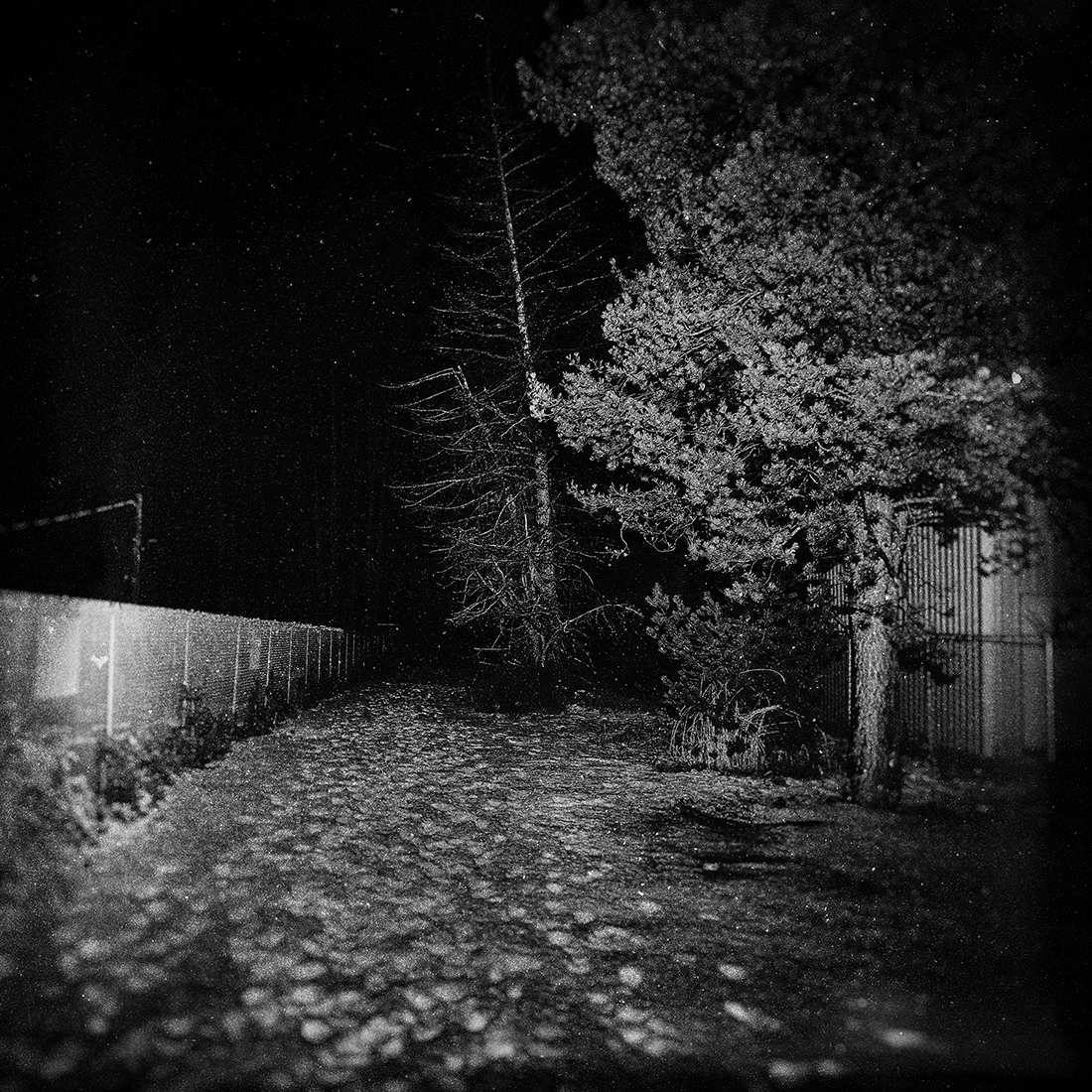 NIGHT, SILENCE, SNOW