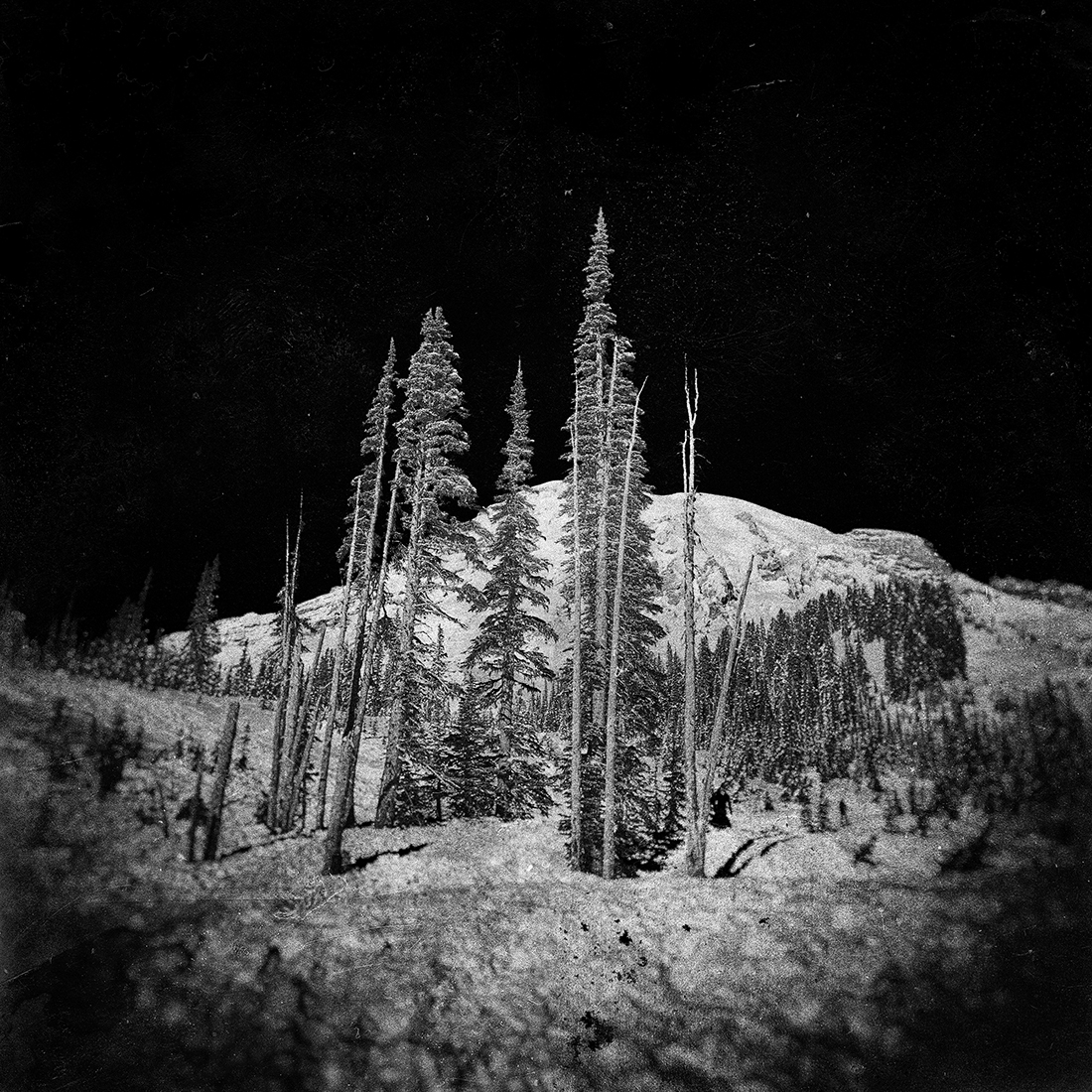 NIGHT, SILENCE, SNOW