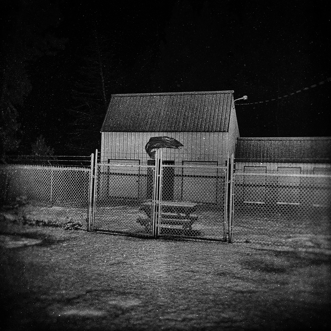 NIGHT, SILENCE, SNOW