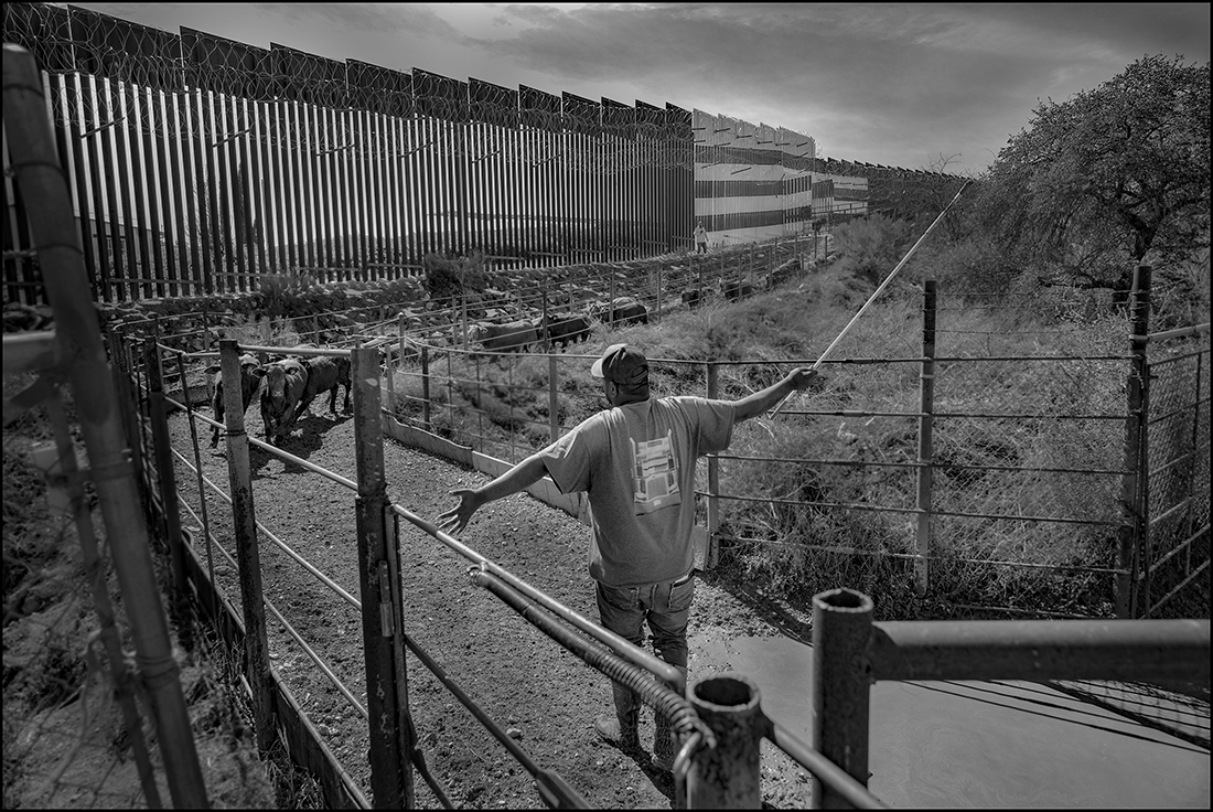 The Wall, work and Liberty