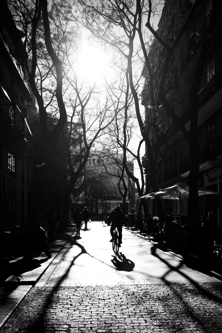 A year in the city