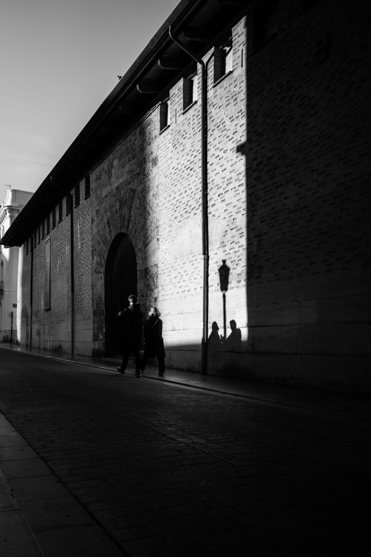 A year in the city