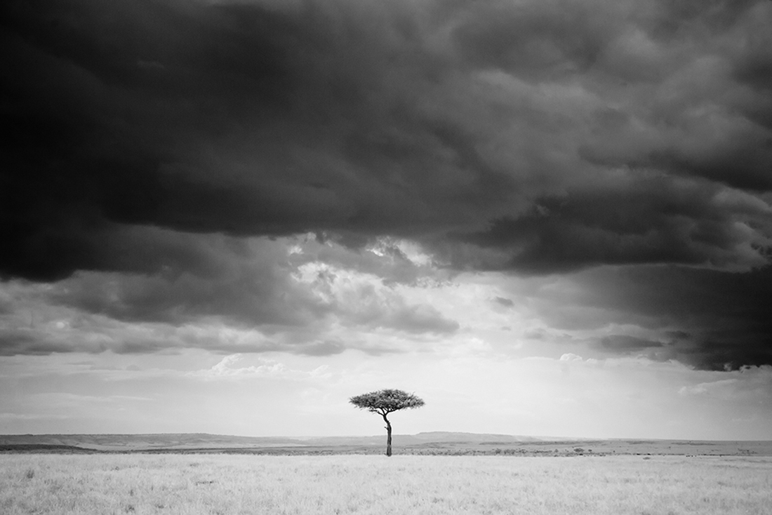 Infrared Masai Mara Wildlife