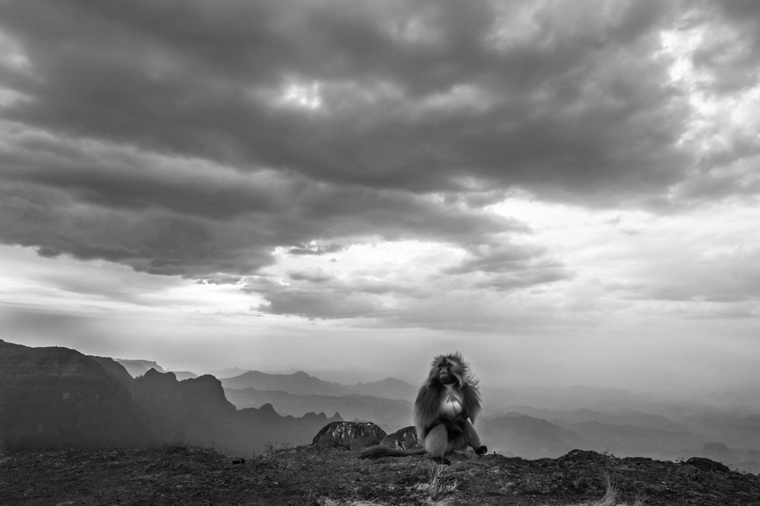 Waiting for the Rain