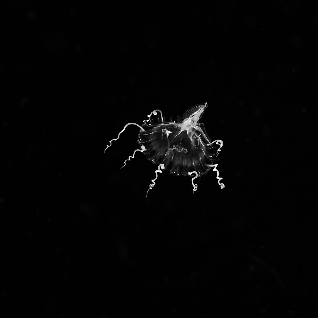 Aliens underwater