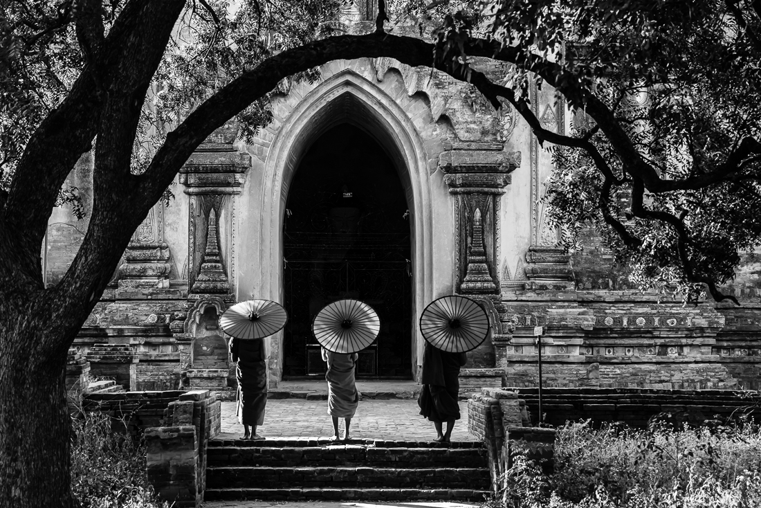Novices who Never return to the Secular life
