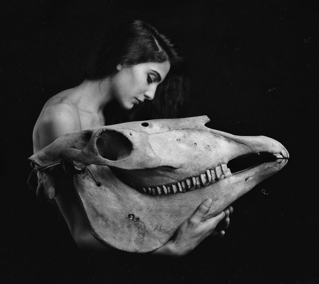 Equus