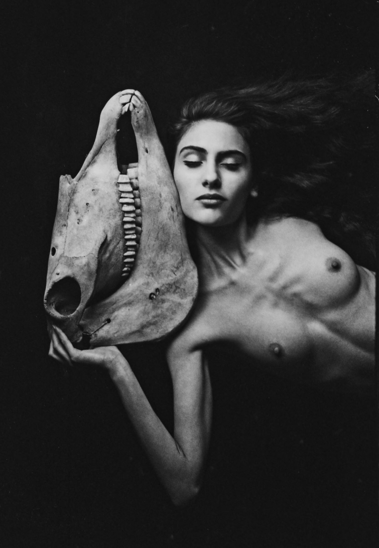 Equus