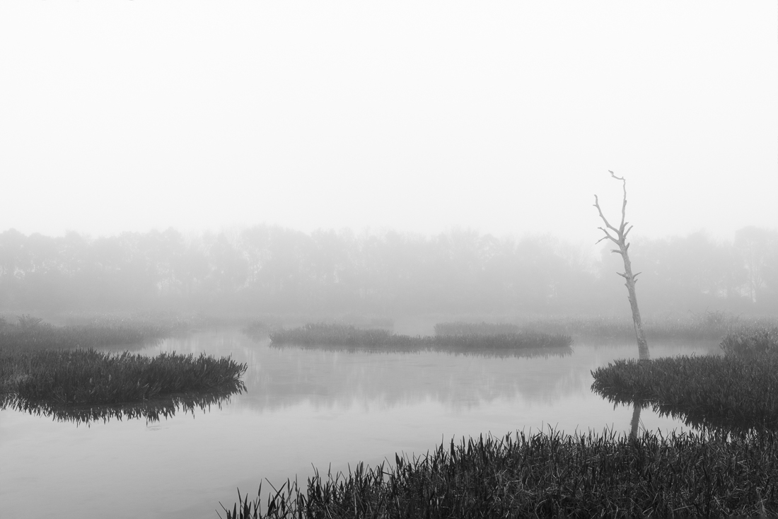 Mystery World