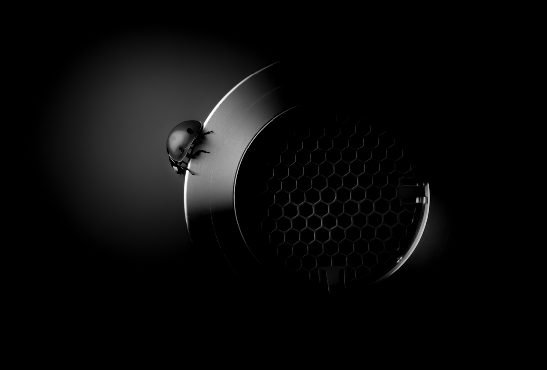 Lost In Space
