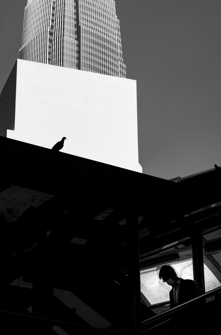 Geometric Hong Kong